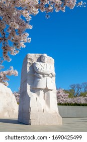 Washington DC – April 3, 2019: Martin Luther King Jr. Potomac Park Washington DC. Granite Statue Of Civil Rights Movement Leader Martin Luther King  By Sculptor Lei Yixin. Photo During Cherry Blossom