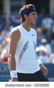 WASHINGTON, D.C. - AUGUST 17, 2008:  Juan Martin Del Potro (ARG) Defeats Viktor Troicki (SRB, Not Pictured) To Win The Legg Mason Tennis Classic