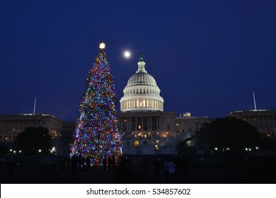 Washington DC In Christmas - The Capitol Building And The Christmas Tree At Night