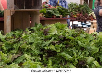 Washington, DC - July 16, 2017 - Capitol Hill Farmers Market 