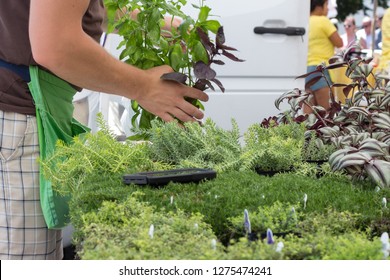 Washington, DC - July 16, 2017 - Capitol Hill Farmers Market