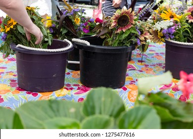 Washington, DC - July 16, 2017 - Capitol Hill Farmers Market