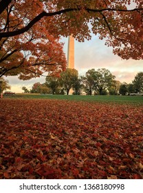 Washington DC. National Mall. October 2016