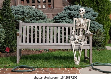 Skeleton On Bench Images, Stock Photos &amp; Vectors | Shutterstock