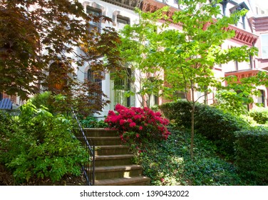 Washington DC Row House In The Spring 