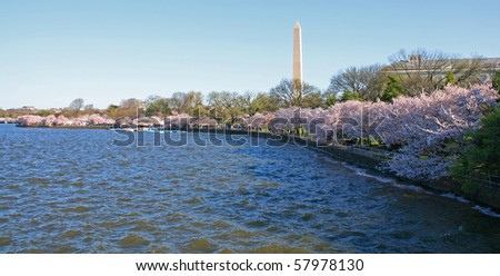 Washington, D.C. in Springtime