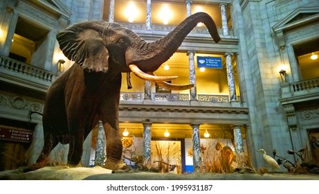 2,887 Smithsonian museum Images, Stock Photos & Vectors | Shutterstock