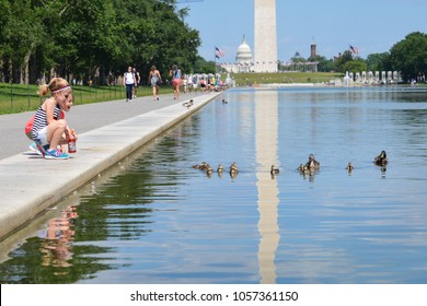 Washington D.C. / United States - June 01 2014: Children cheers the duck family in springtime - National Mall - Washington DC