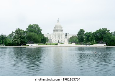 Washington, DC US - May 24, 2021: The Large Reflecting Pool At The East End Of The National Mall Is Visited By Ducks, The Capitol Building's Rotunda And Dome Is Seen In The Distance