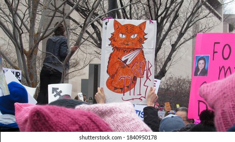 Washington, DC / USA - 01/21/2017: Women's March On Washington Pink Hats And Protest Signs, View From The Crowd.