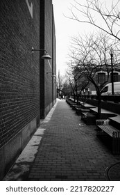 Washington DC  USA - 02 05 2022: Washington DC Buildings And Monuments In Winter 2022, America, Capitol Hill, Washington, Black And White ART