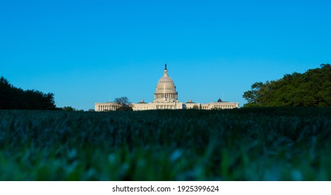 Washington, DC, USA - 27 April 2020: Low-Angle View Of The United States Capitol Building With Blurred Grass In Foreground - Copy Space