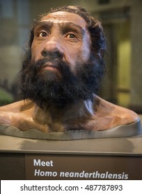 WASHINGTON DC, USA - AUGUST 30: Mask representing the face of a caveman know as Homo Neanderthalensis who live thousands of years ago in a public exhibition in Washington DC on August 30, 2016.