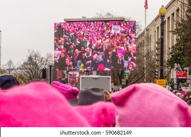 WASHINGTON, DC, USA – JANUARY 21, 2017: Close-up Of Pink Hats Worn By Protesters Listening To Speeches At The Women's March In Washington, DC. 