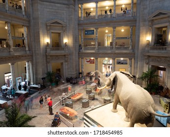 Washington D.C., USA - June 4, 2019: Image taken with a slow shutter and a lot of motion blur at the National Museum of Natural History.