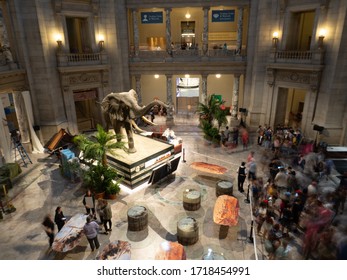 Washington D.C., USA - June 4, 2019: Image taken with a slow shutter and a lot of motion blur at the National Museum of Natural History.