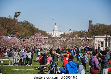 Washington, DC USA - March 31, 2018:  Crowds at National Mall for annual Kite Festival, a National Cherry Blossom Festival event, a celebration of Japan's gift of cherry trees to US beginning in 1912
