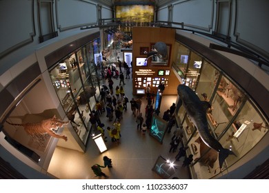 WASHINGTON DC, USA - MAY 17 2018 - located on the National Mall in National History Museum is open 364 days a year with nearly 8 millions of free admission visitors 