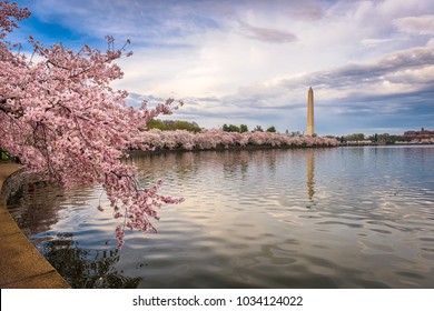 Washington DC, USA In Spring Season At The Tidal Basin.