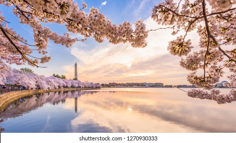 Washington DC, USA In Spring Season At The Tidal Basin. 