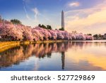 Washington DC, USA at the tidal basin with Washington Monument in spring season.