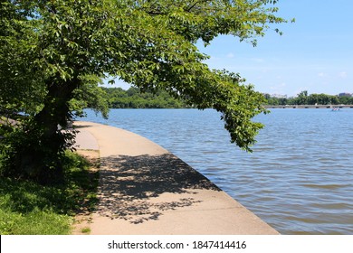 Washington D.C. - West Potomac Park Path Along Tidal Basin.