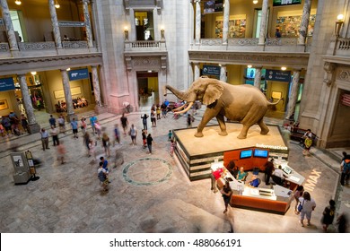 WASHINGTON D.C.,USA - AUGUST 11,2016 : Main Hall At The National Museum Of Natural History In Washington D.C.