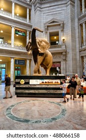 WASHINGTON D.C.,USA - AUGUST 11,2016 : Visitors at the Main Hall of the National Museum of Natural History in Washington D.C.