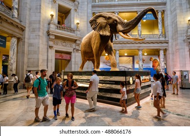 WASHINGTON D.C.,USA - AUGUST 11,2016 : Visitors At The Main Hall Of The National Museum Of Natural History In Washington D.C.