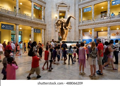 WASHINGTON D.C.,USA - AUGUST 11,2016 : Visitors at the Main Hall of the National Museum of Natural History in Washington D.C.