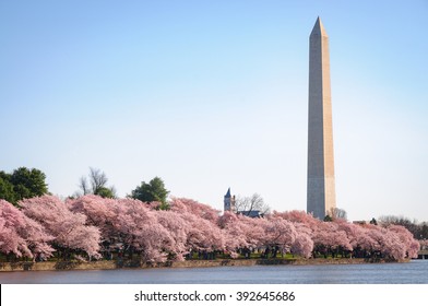 Washington Monument