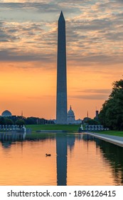 Washington Monument at beautiful Sunrise in Washington DC, USA.