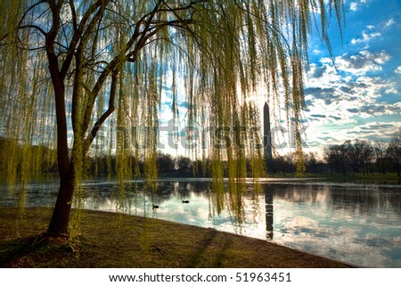 Washington Monument Over Pond and Weeping Willows