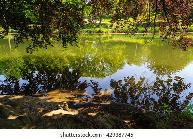 Washington Park Albany NY Reflections Of Trees In Pond