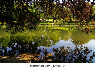 Washington Park Albany NY Reflections Of Trees In Pond