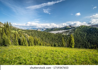 The Washington Section of the Pacific Crest Trail in the North Cascades with view of the mountains and pines.