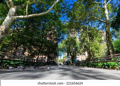 Washington Square Park