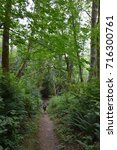 Washington Trail
