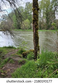 Washougal River Greenway Trail, Washington State, USA