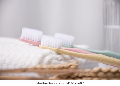 Washroom Supplies Toothbrush Close Up