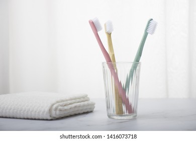 Washroom Supplies Toothbrush Close Up