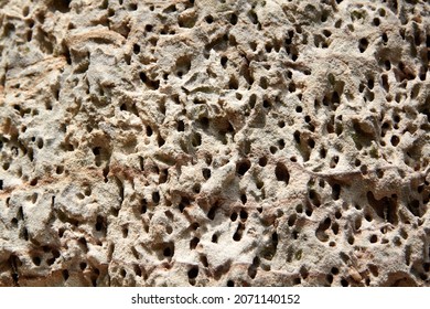 Wasp hive in the sandstone cliff. Selective focus. High quality photo