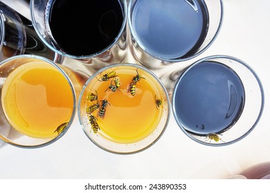 Wasps In A Glass Of Wine