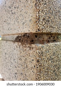 Wasps Nest On Pillars Cement Small Stock Photo 1906009030 | Shutterstock