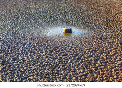 Waste At The Drought Lake Bottom . Withered Lake , Global Warming 