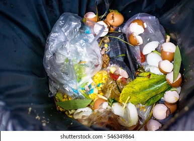 Waste  Food In Garbage,not Waste Separation