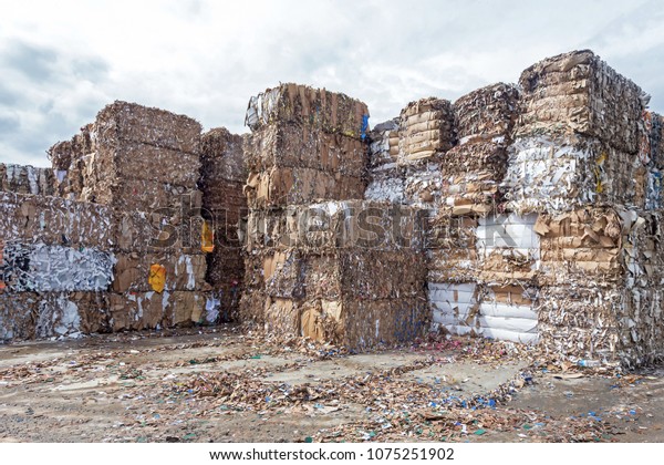 Waste paper recycling.Pile of pressed waste paper\
bales in the yard