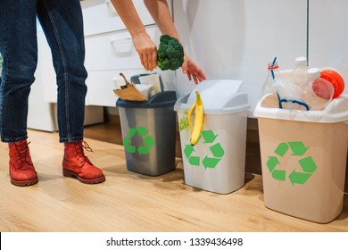 Waste Sorting At Home. Cropped View Of Woman Putting Broccoli In The Garbage Bin. Colorful Trash Bins For Sorting Waste In The Kitchen