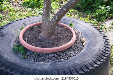 The waste tires are reused and used as flower pots. - Shutterstock ID 2194337015