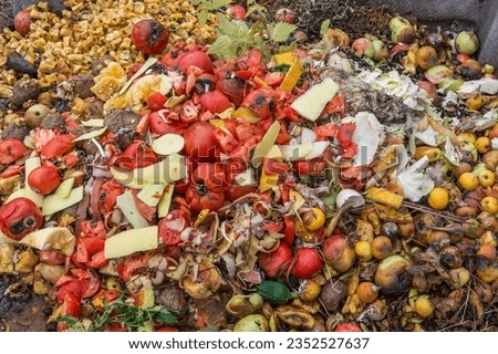 Waste of vegetables and fruits in a compost heap as a natural fertilizer for the garden
